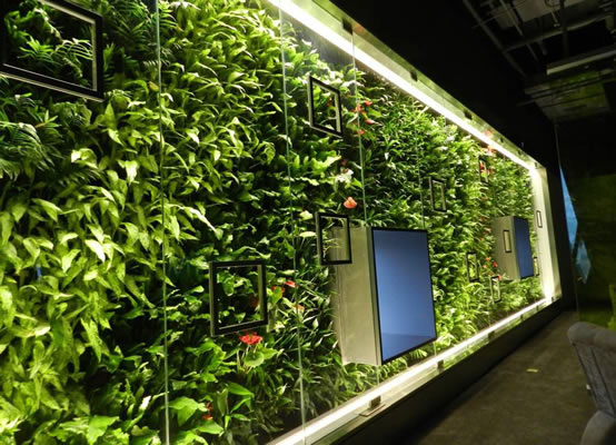 酒店装修绿色植物规划
